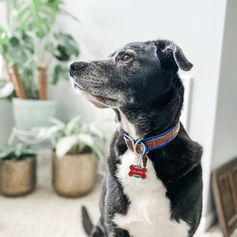 Meet your Posher, Keila